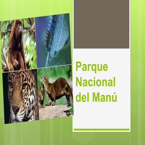 Parque nacional del manu peru