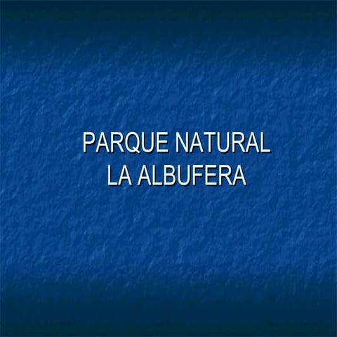 Parque Natural Albufera