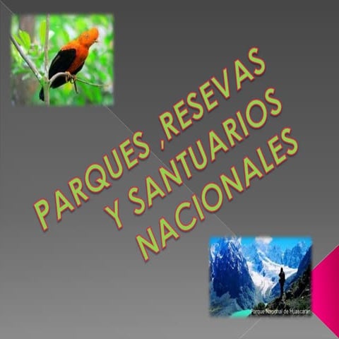 PARQUES ,RESEVAS Y SANTUARIOS NACIONALES.pptx