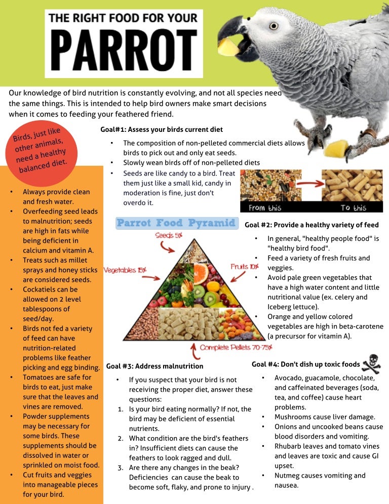 Parrot nutrition