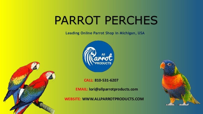 online pet shop parrot