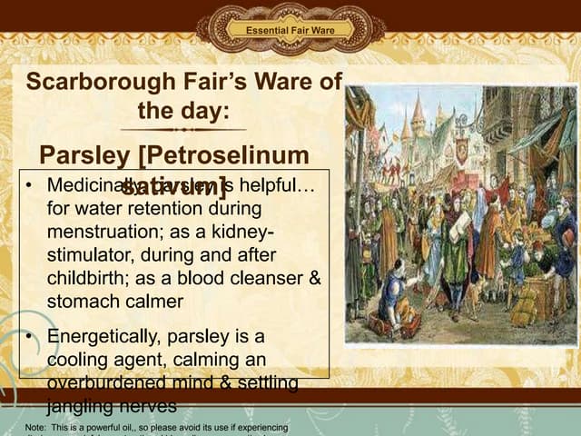 Parsley PPT Parsley PPT