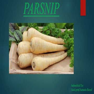 Parsnip presentation.pptx