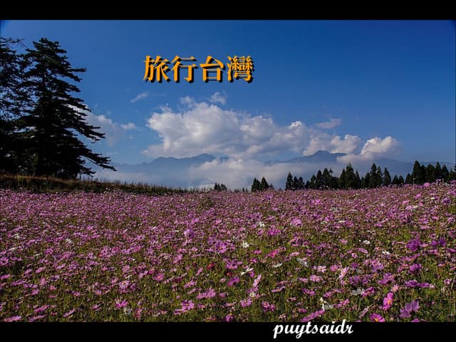 旅行台灣 Part 1