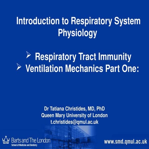 Comprehensive Introduction to Respiratory System Physiology and ...