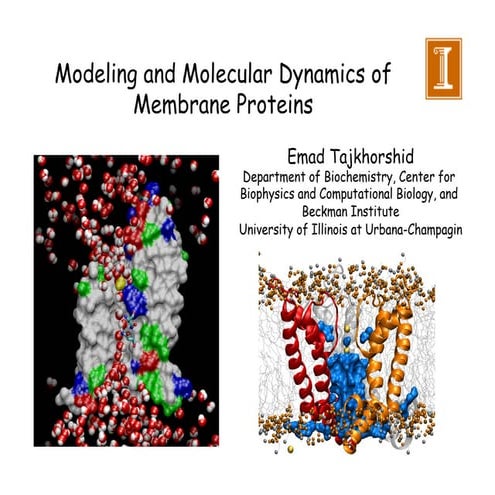 Simulating Membrane Channels, E. Tajkhorshid, Part 1