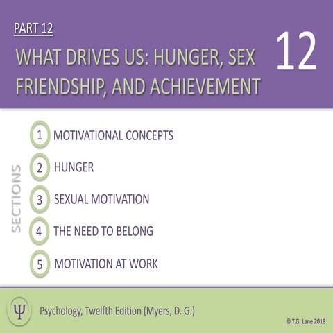 Part 12 (What Drives Us)