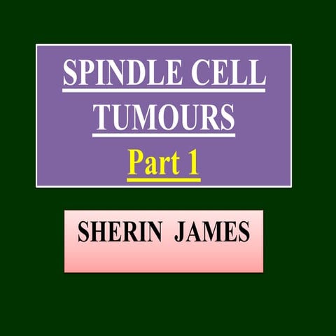 PART 1: SPINDLE CELL LESIONS.pptx