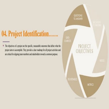 Entrepreneurship (Project identification) | PDF