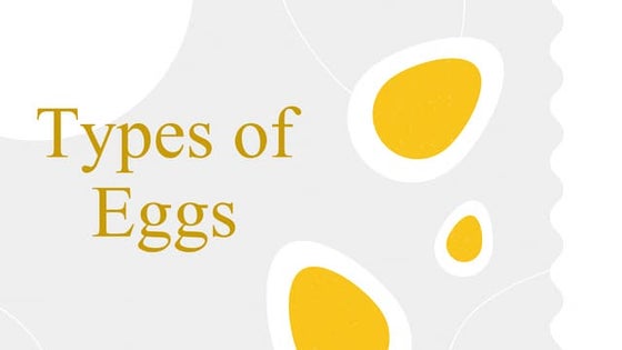Market forms of egg | PPTX | Birds | Pets