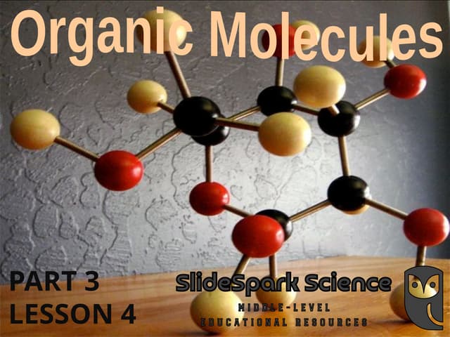 Molecules Lesson, Organic Molecules, Middle School Science Lesson