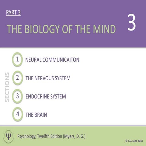 Part 3 (The Biology of Mind)