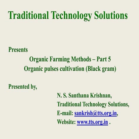 Organic pulses cultivation - black gram cultivation