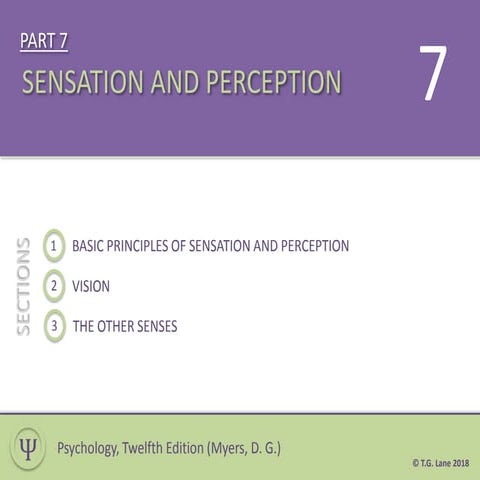 Part 7 (Sensation and Perception)