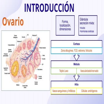 PARTE 2 ANTICONCEPTIVOS UNA PRESENTACION