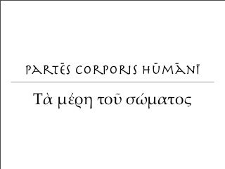 Partes corporis humani latine et graece