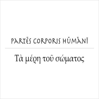 Partes corporis humani latine et gr...