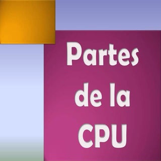 Partes de la CPU