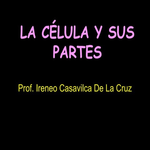 PARTES DE LA CÉLULA