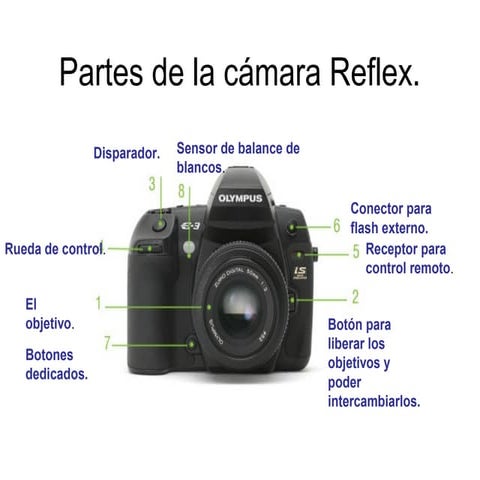 Partes de la cámara reflex