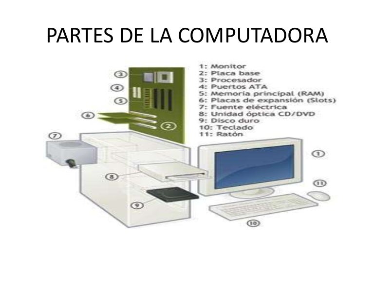 Partes De La Computadora