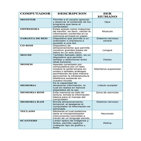Partes De La Computadora Relacionado Con El Ser Humano