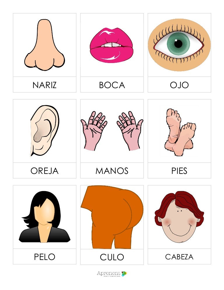 Partes del cuerpo tarjetas descargables