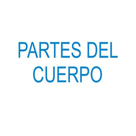 Partes del cuerpo