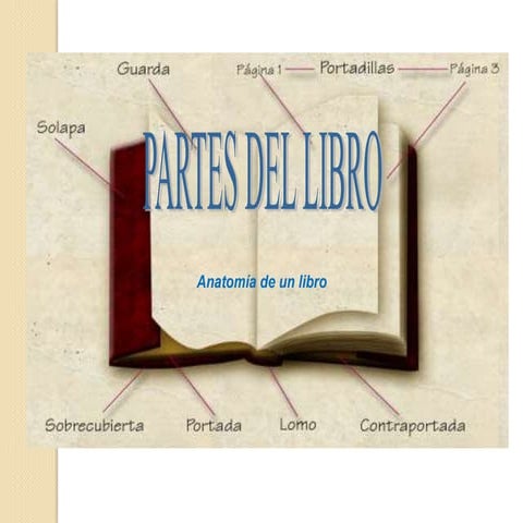 Partes del libro2011