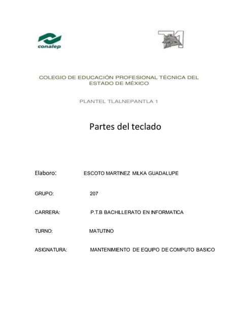 Formato preventivo del pc | PDF