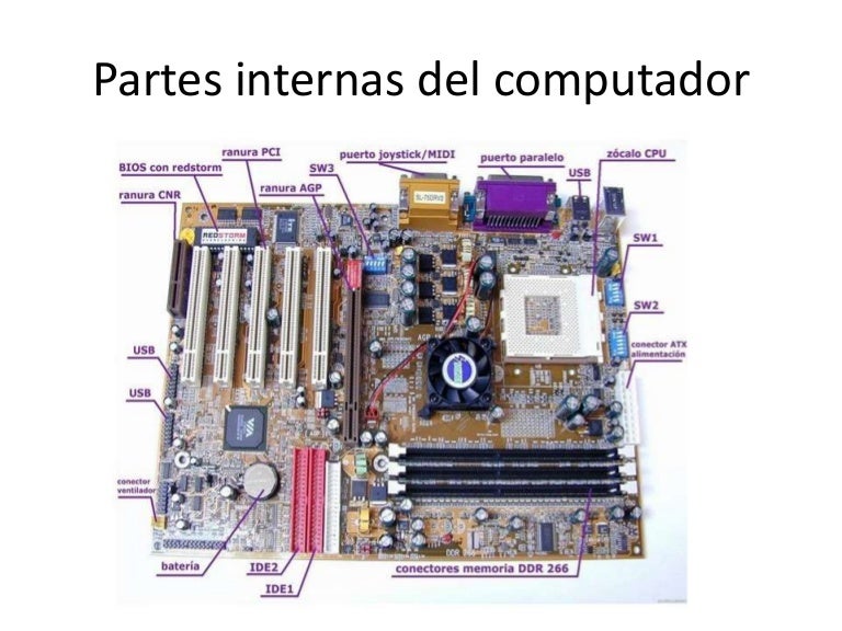 Imagen De Las Partes Internas De Una Computadora Stoneevent blogspot