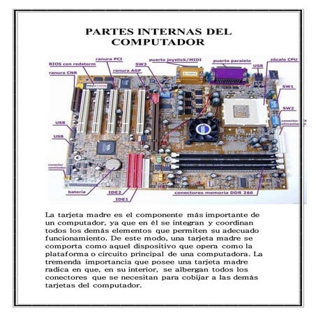 Partes internas del computador