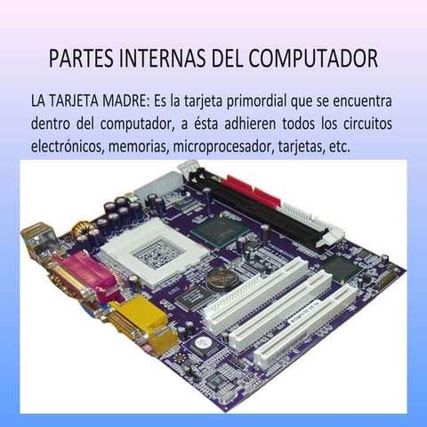 Partes internas del computador