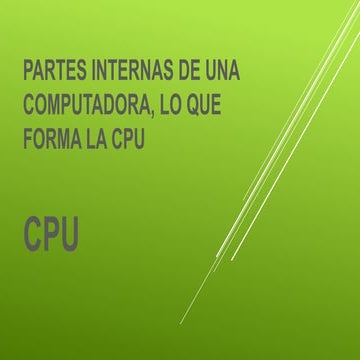 Partes internas de una computadora, lo que