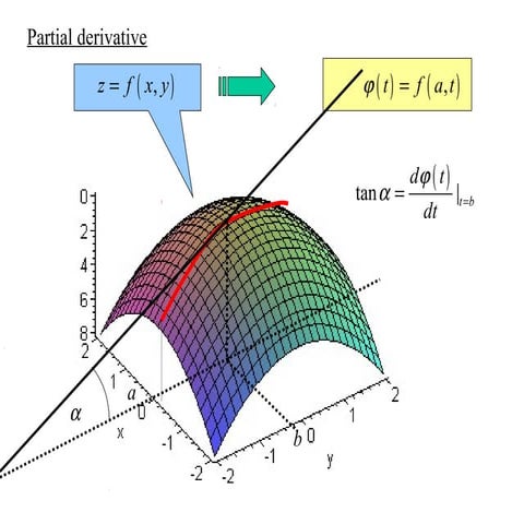 Partial derivative1
