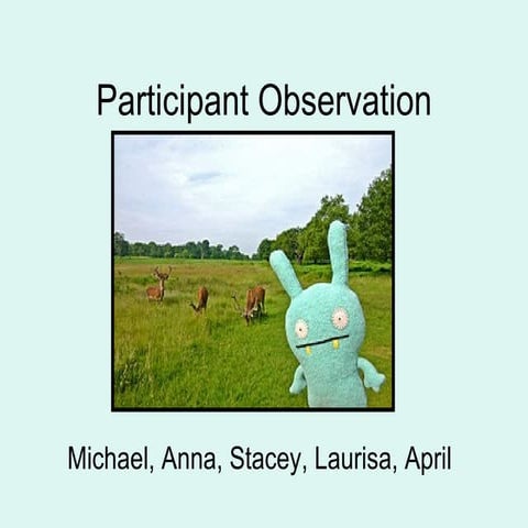 Participant Observation