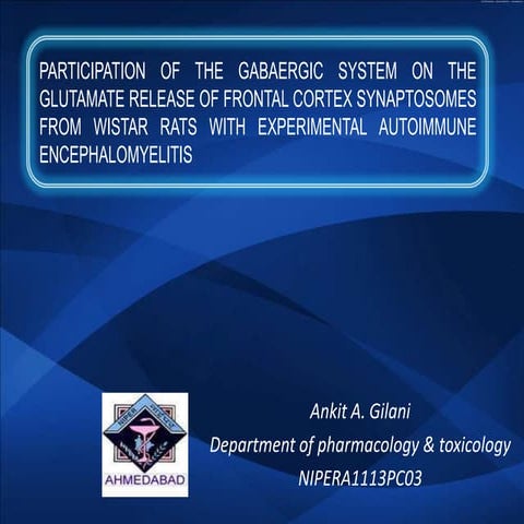 Participation of the gabaergic system on the glutamate