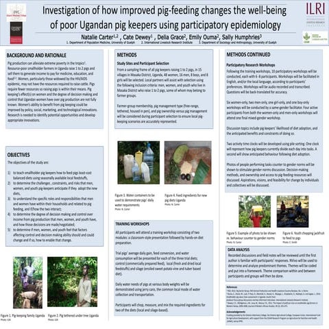 Development of balanced diets using local feeds for smallholder Kenyan pigs: ...