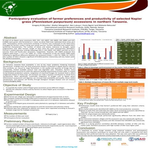 Participatory evaluation of farmer preferences and productivity of selected n...