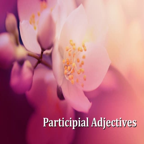 Participial Adjectives