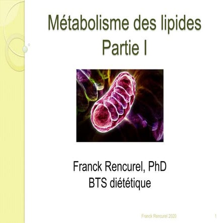 BTS diététique metabolisme des lipides PARTIE 1