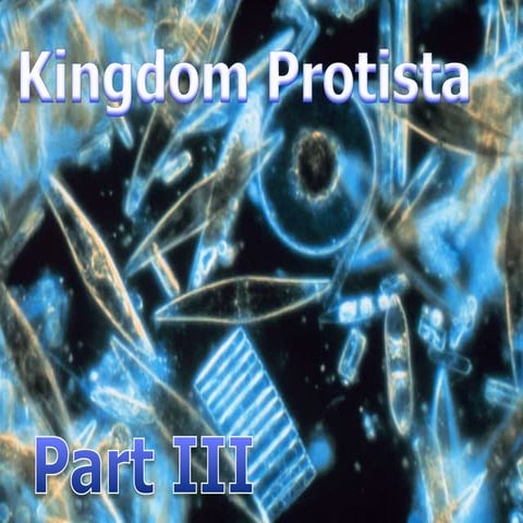 Kingdom Protista, Protist Biology Lesson PowerPoint