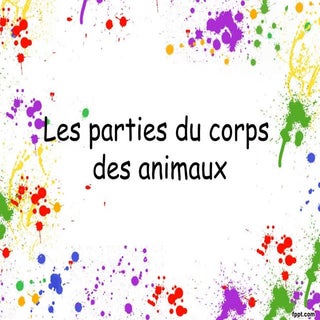 Parties du corps des animaux