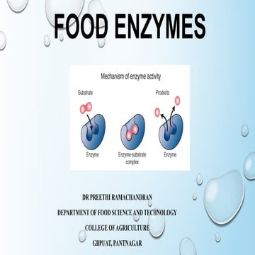A Presentation on Introduction to Food enzymes