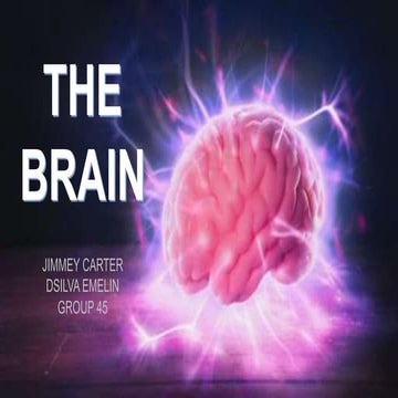 Part of brain group 45 emelin anatomy