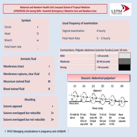 WHO labour guide.pdf
