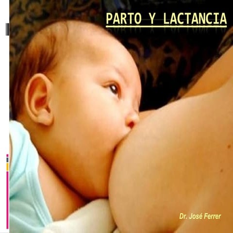 Parto y Lactancia