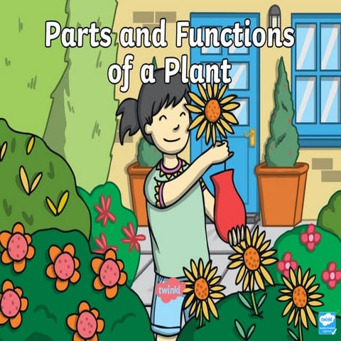 parts-of-a-plant-powerpoint plant plant plant | PPT