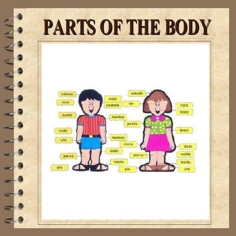 Parts of the Body