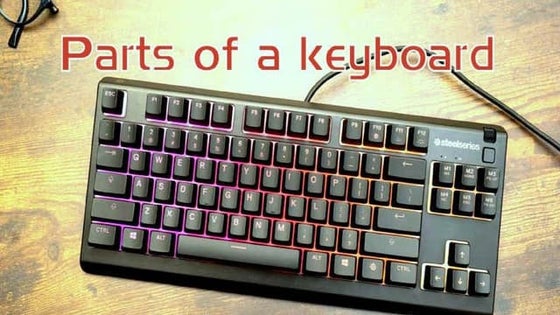 Computer Keyboard | PPTX | Computer Peripherals | Computing